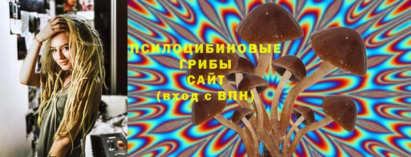 MDMA Premium VHQ Богородицк