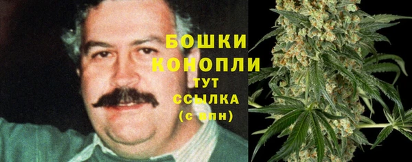 героин Богданович