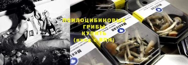 героин Богданович