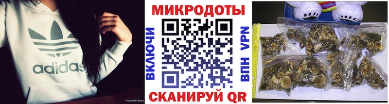 наркошоп Дагестанские Огни Галлюциногенные грибы мицелий